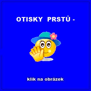 OTISKY PRSTŮ -