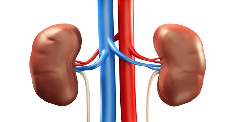 traitement de l'insuffisance rénale: 7 symptômes courants chez les ...