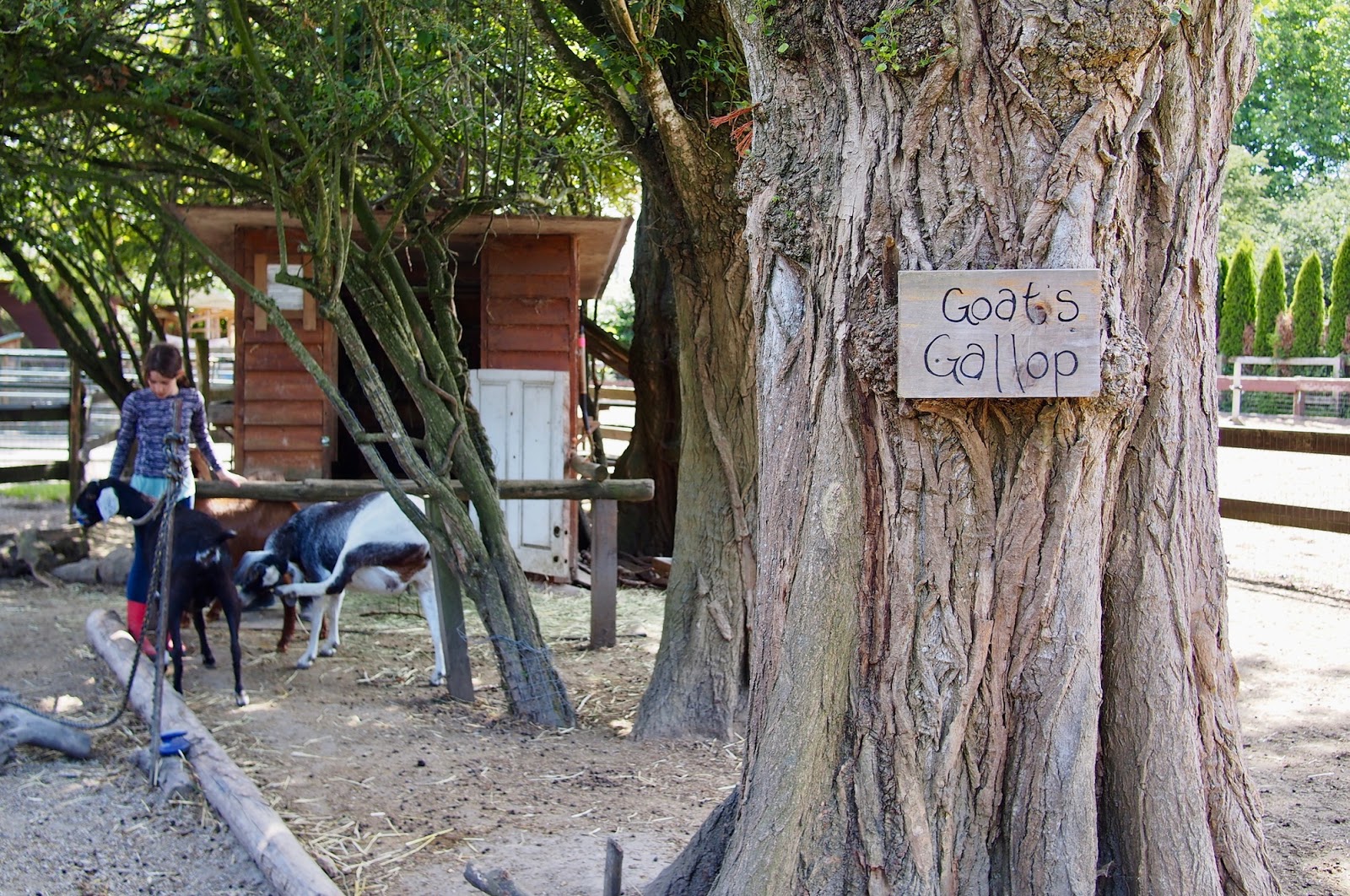 Southlands Heritage Farm/ Fraser River Trail
