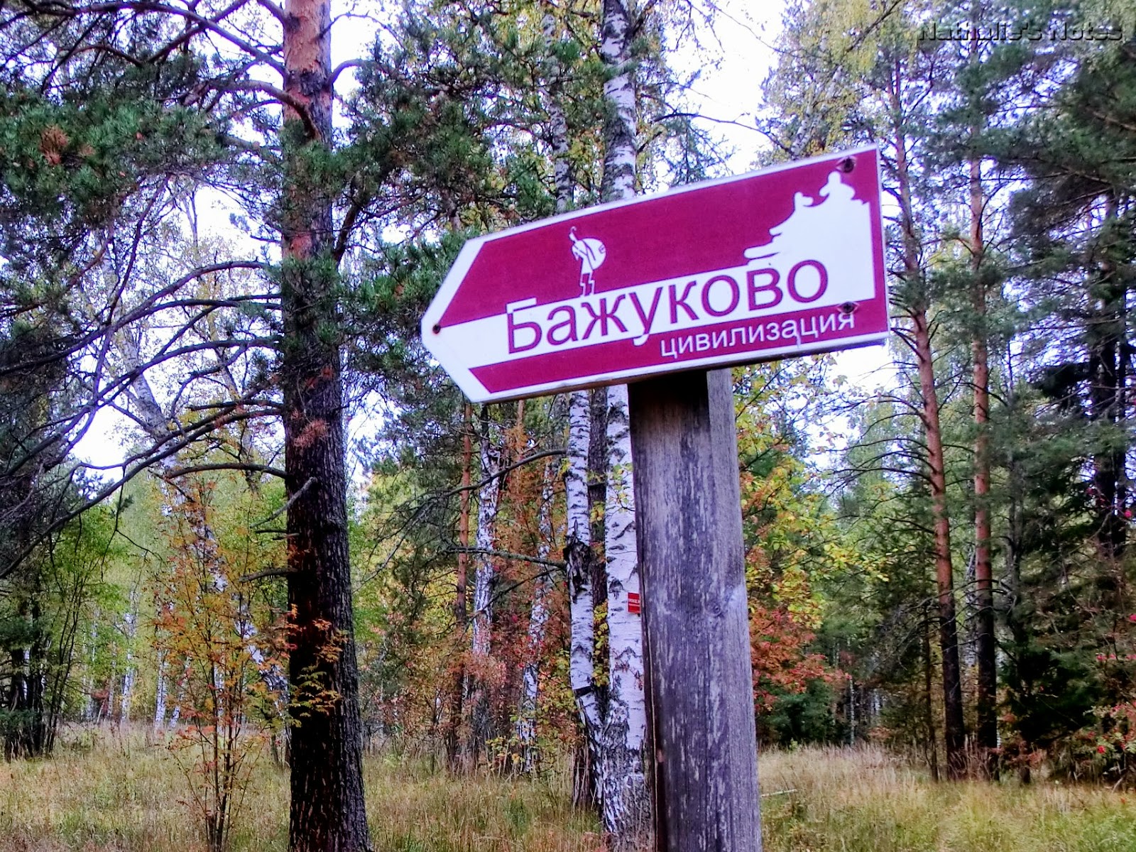 Оленьи ручьи свердловская область карта