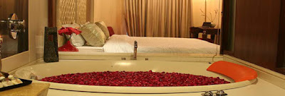 Hotels in delhi