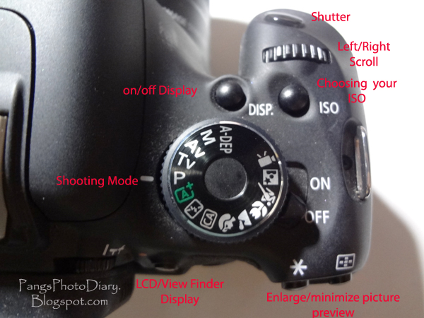 Pang's Photo Diary: Canon Rebel T3i - What Are All These Buttons and