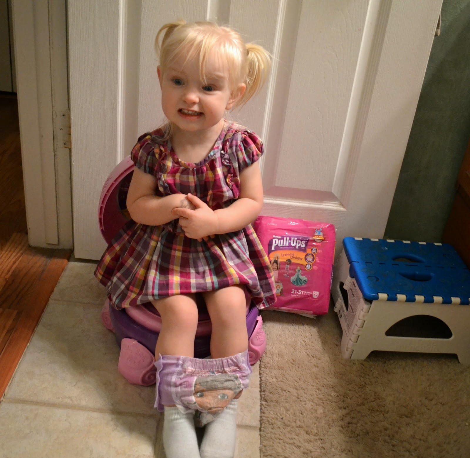 Pull Up Newborn Diapers newborn kittens