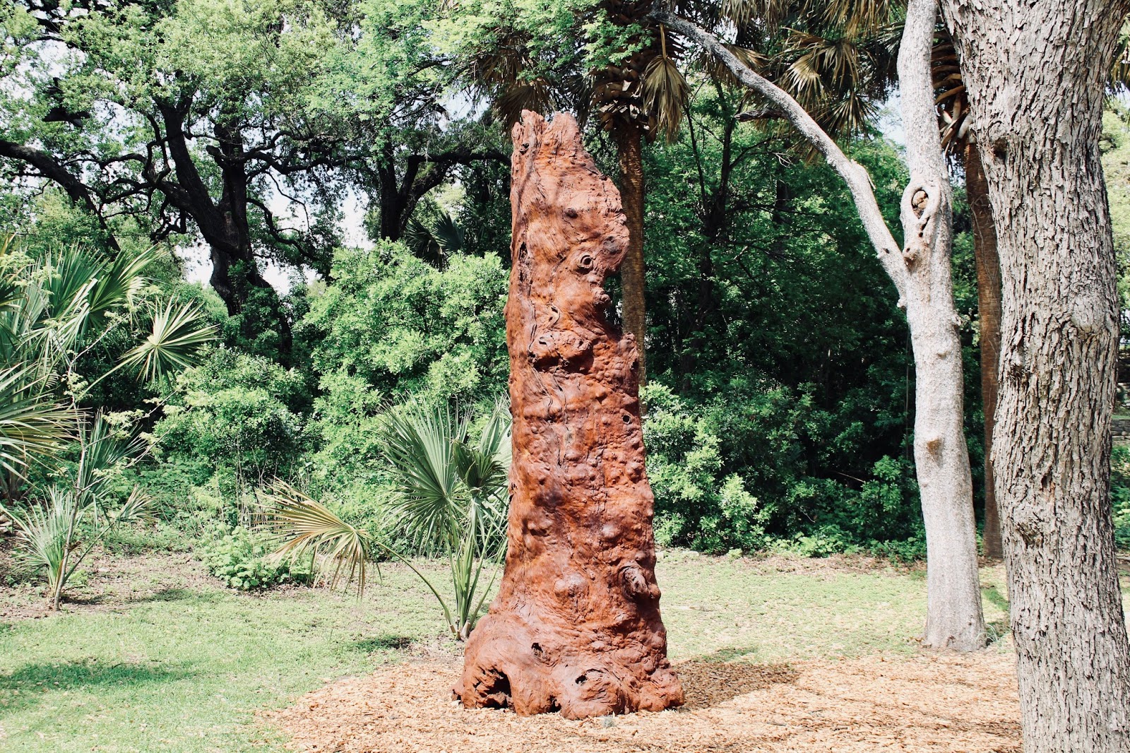 Texas | Austin City Guide
