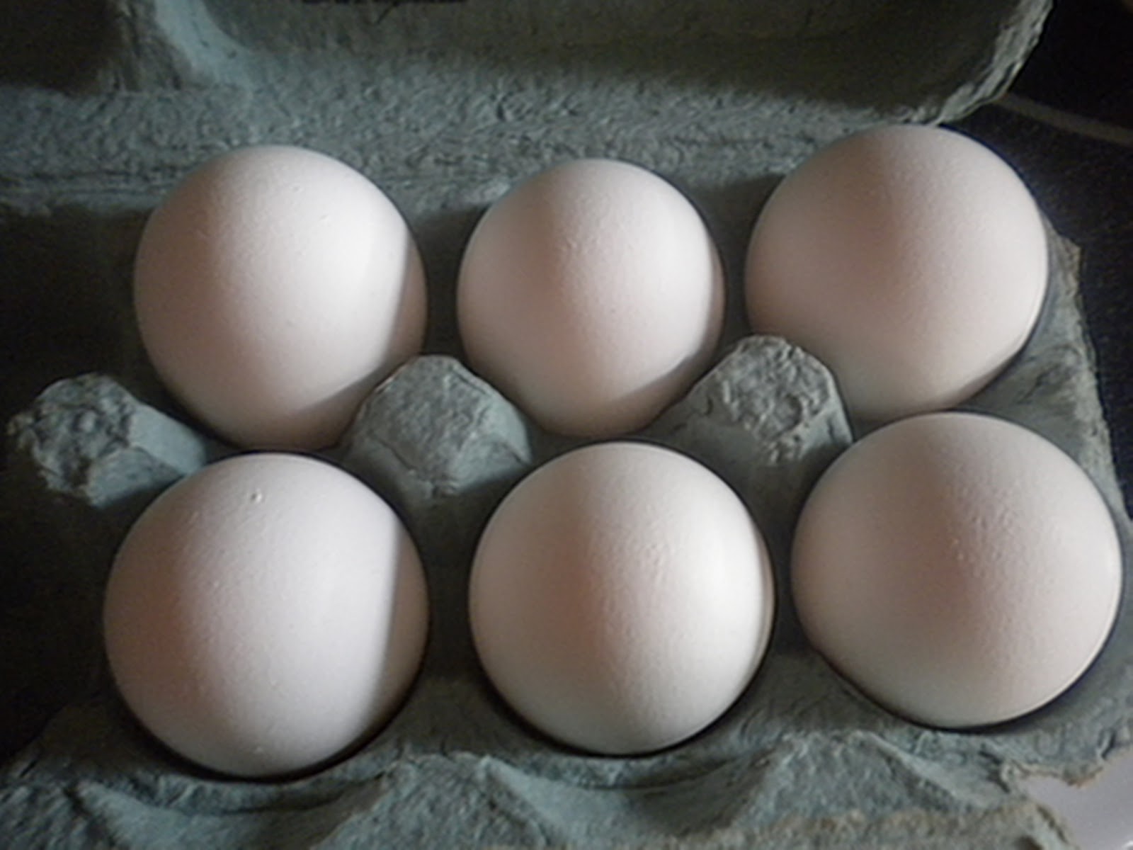 Food Allergy Assistant Chickenless Eggs Benefit People With Egg Allergy
