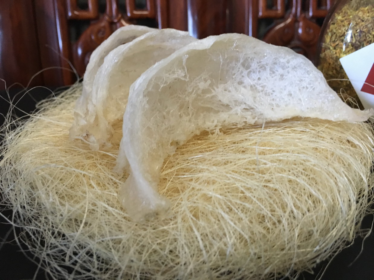 Buy Edible Bird's Nest Identifying Authentic Edible Bird’s Nest