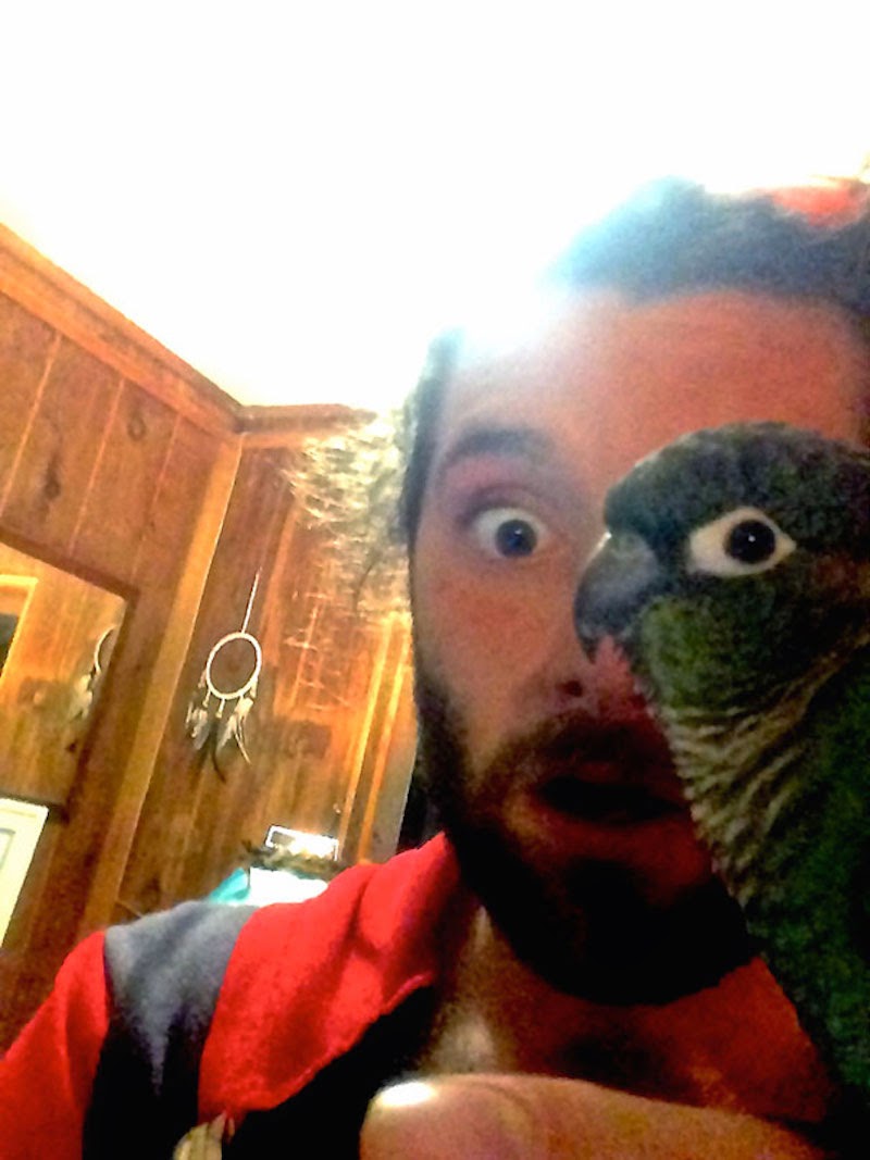 30 Pictures Taken At The Right Moment - Instead of an eye patch, this pirate just relies on his pet parrot.