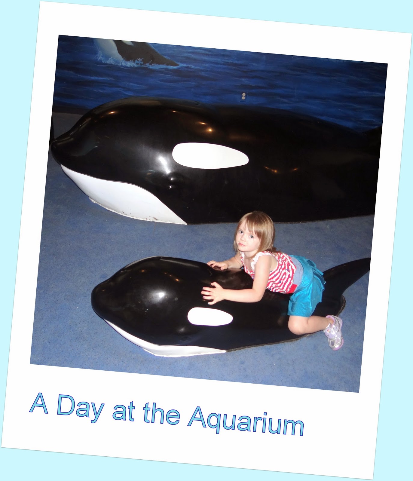 Pattie's Place The Living Aquarium Trip in Sandy, Utah