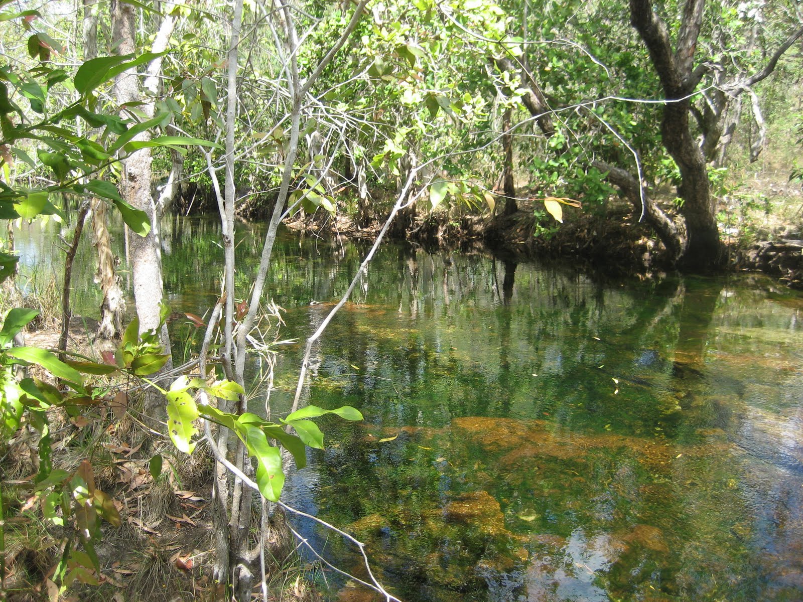 The Wandering 2's Adelaide River and Litchfield National Park the