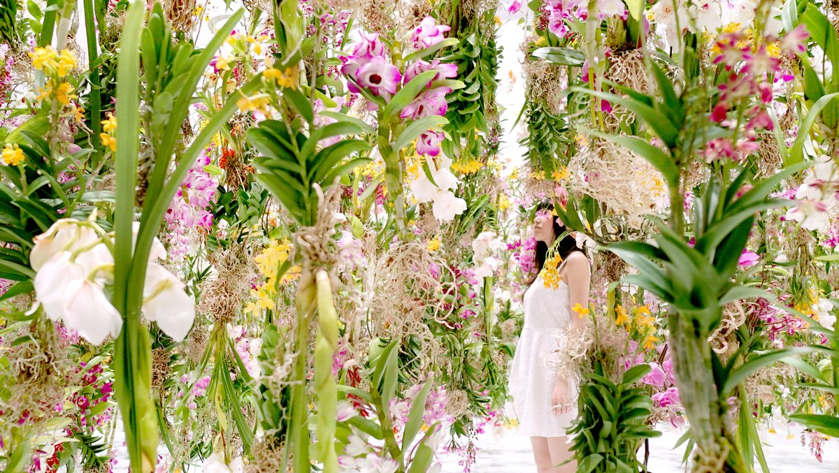 art, design, life: floating flower garden  - the obsessive imagist
