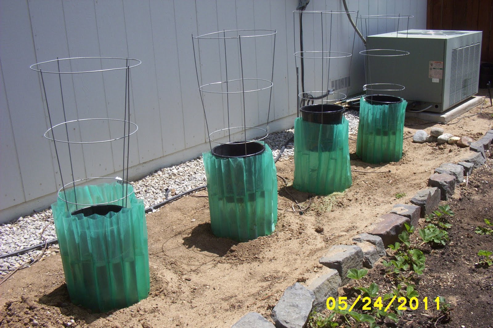 How Does My Garden Grow What�s happening in the garden