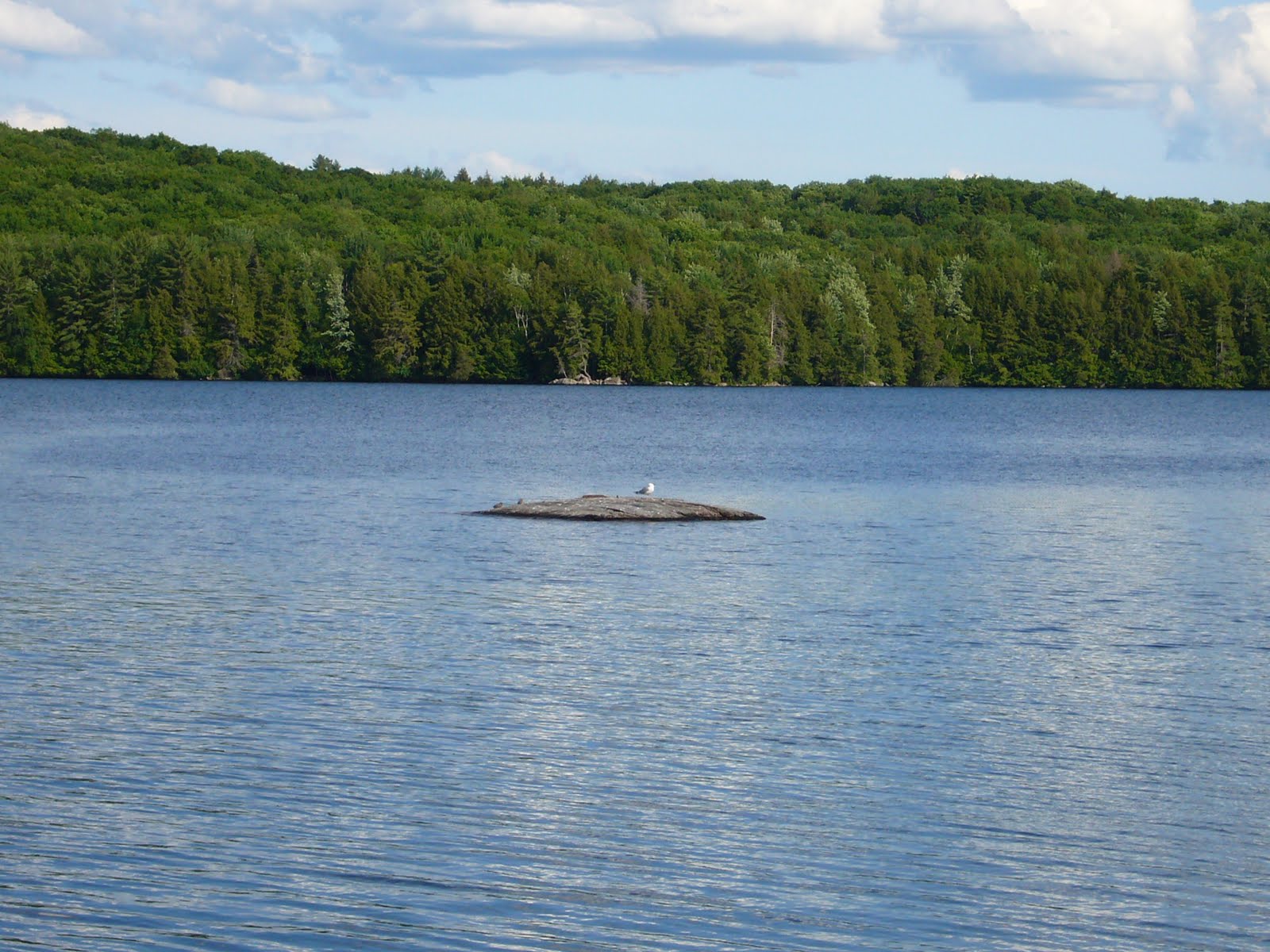 Camper Umo's Campground Reviews Review Kawartha Highlands Provincial