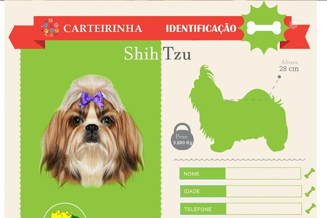 Clubinho Do Shih Tzu