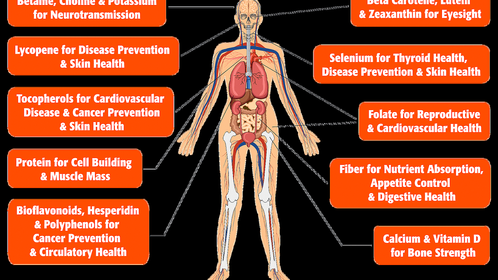 Fruits And Vegetables And Their Benefits Vege Choices