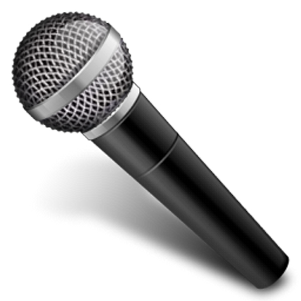 1 Audio Input Device