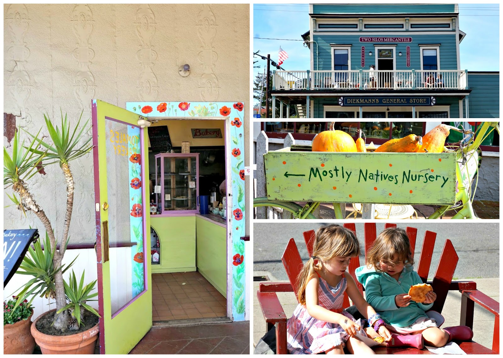 The Thrifty Traveler Tomales Bay