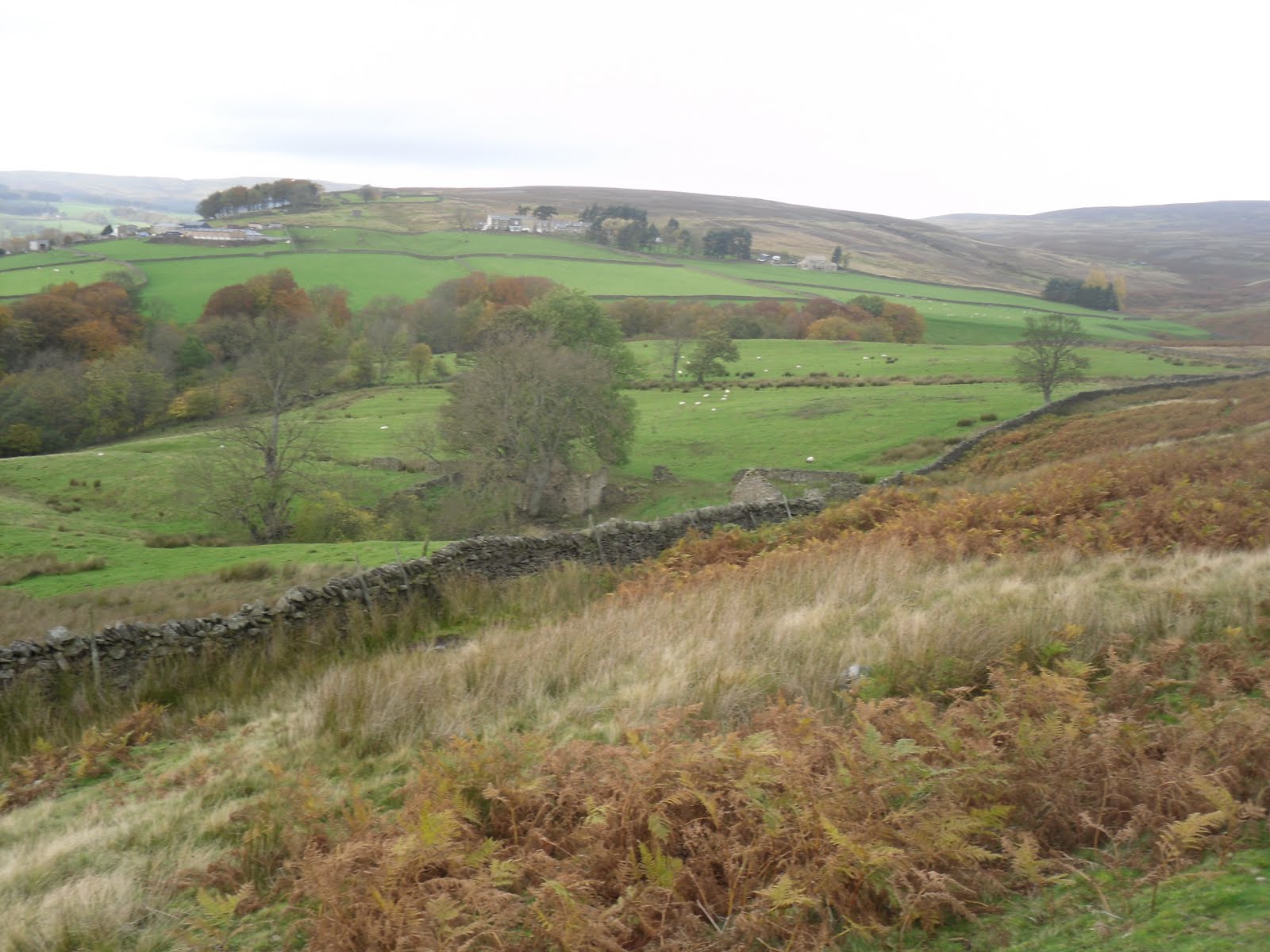 Rambling Nana Stanhope & Wolsingham Park Moor