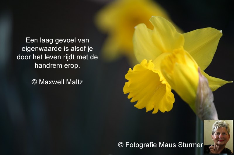 gedichten en gedachten: een laag gevoel van eigenwaarde