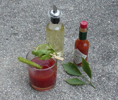 Bloody Mary mit Liebstöckel Bloody Mary mit Liebstöckel