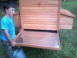 coop tray litter removable arrived freehold