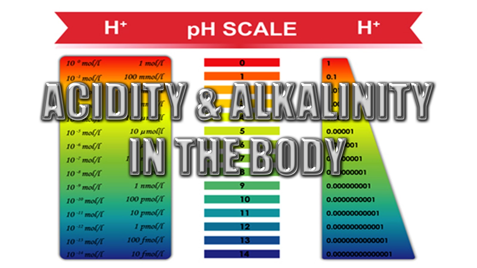 Acidity And Alkalinity In The Body
