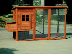 Barn Chicken Coop Designs Build Your Own Chicken Coop