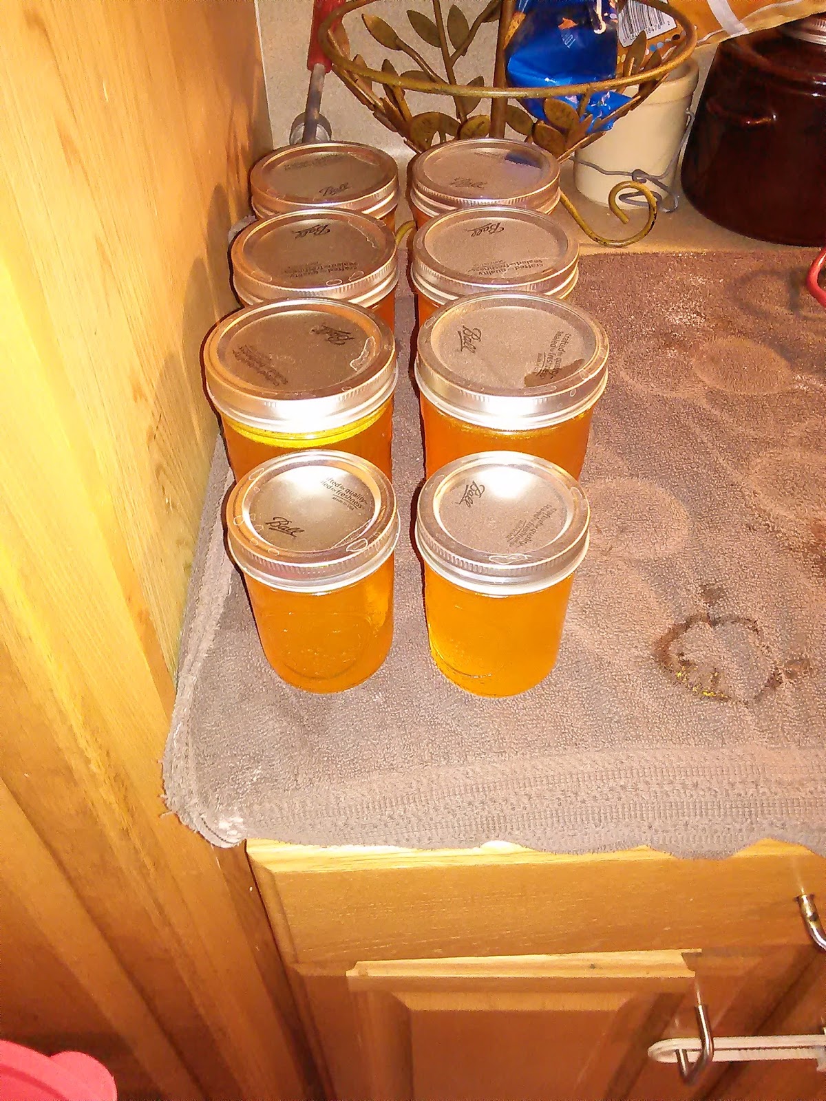 A Frugal Texas Mama Homemade Orange Jelly (My Happy Week of Canning)