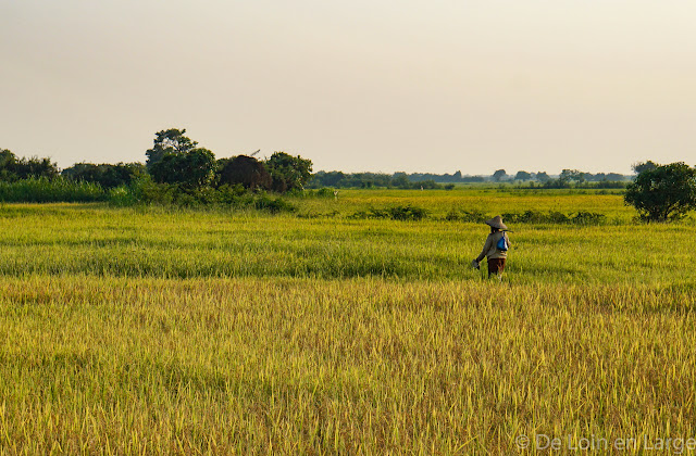 Village - Colline Phnom Krom - Cambodge