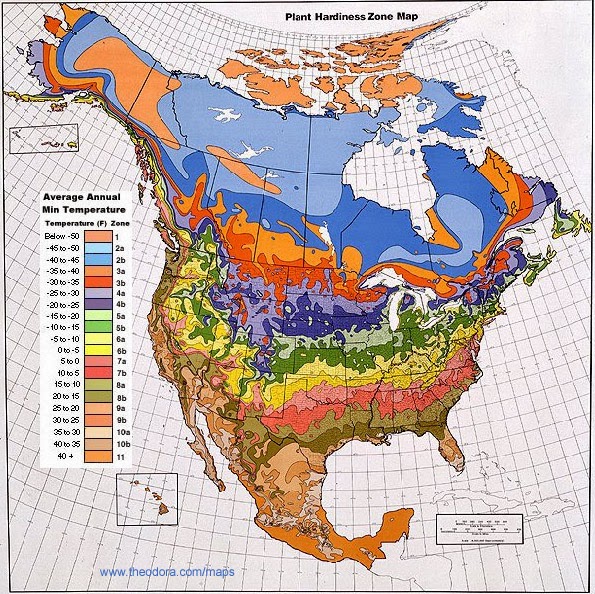 Russia Climate Zones Map Russia Climate Zones Map