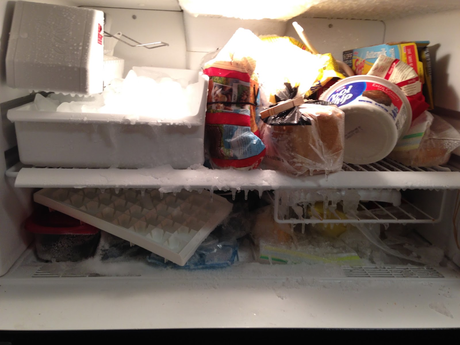 Our Nature The Freezer Door Was Mostly Closed