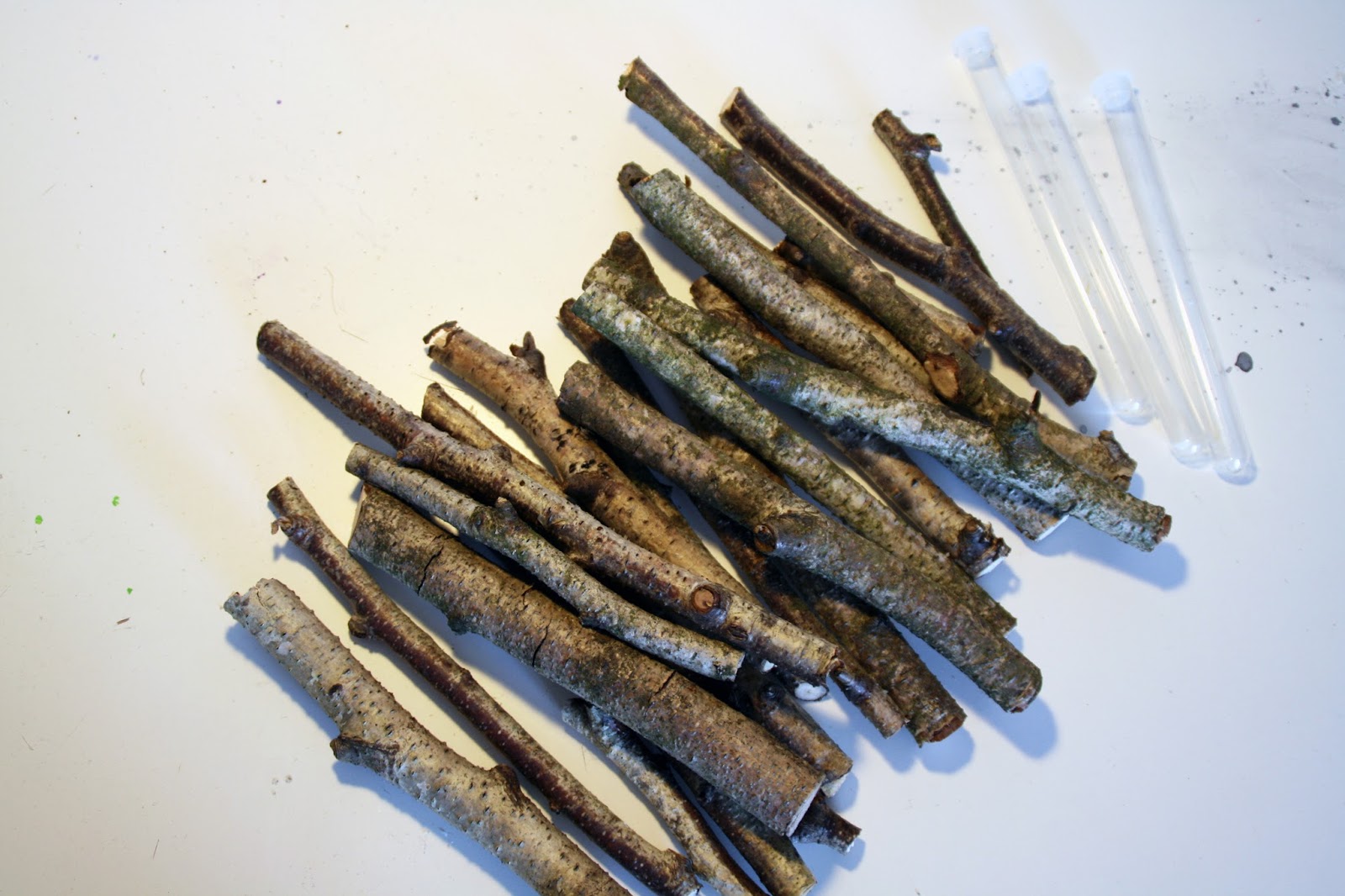 SehnSuchtsSachen Eine Vase aus Stöckchen