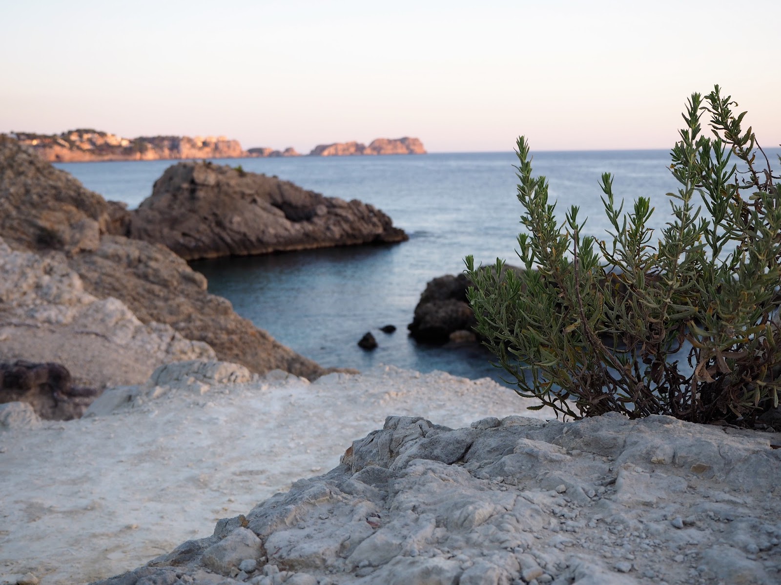 Molde De Barbie Imagenes Mil Patrones De Barbie Trajes De