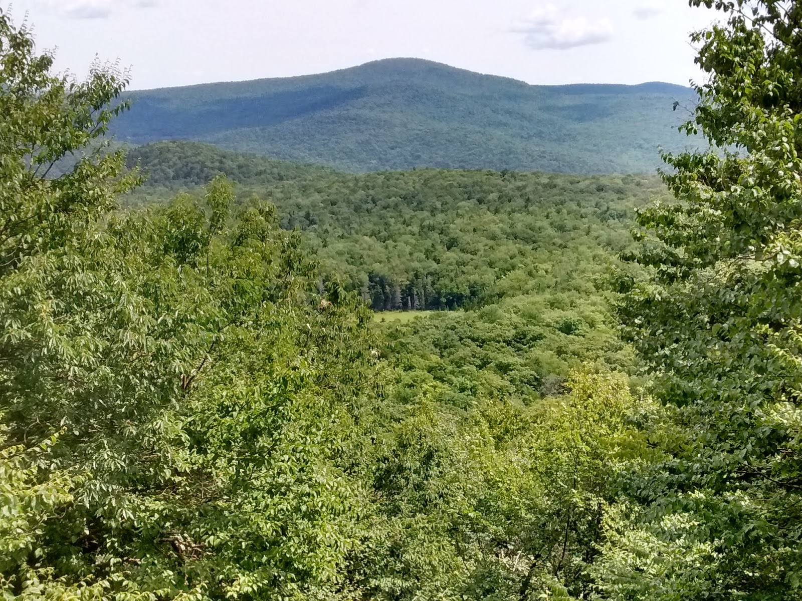 DUTCH HILL hike up an old ski area in Heartwellville VT.