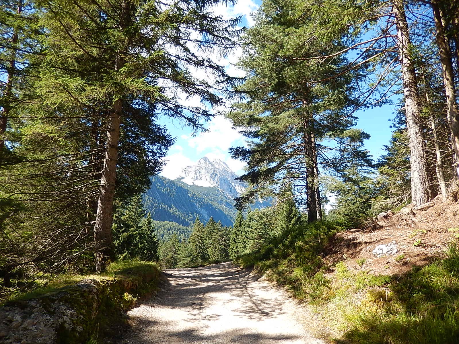 der-wanderfreund-wanderung-mittenwald-lautersee-gr-nkopf