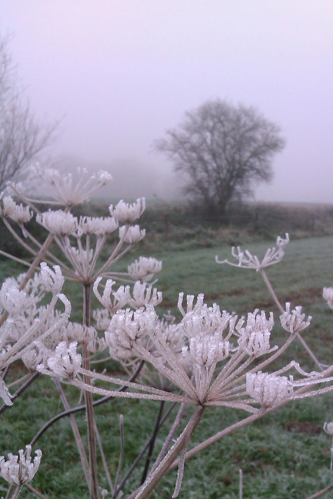 Weiter Geht S Die Nrw Tour Am Niederrhein Rastlos Der Wanderblog