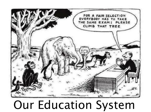 Our Education System - This How I Feel Sometimes In School