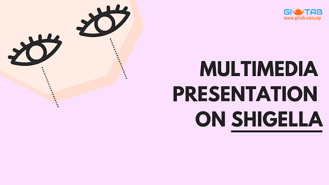 Multimedia Presentation on Shigella