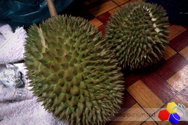 mknace unlimited™ | Durian