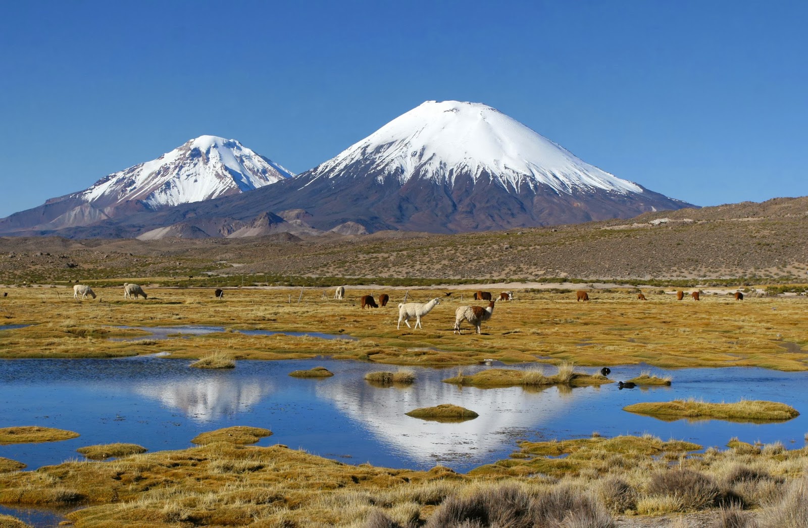 5 best places to travel Chile - Beautiful Traveling Places