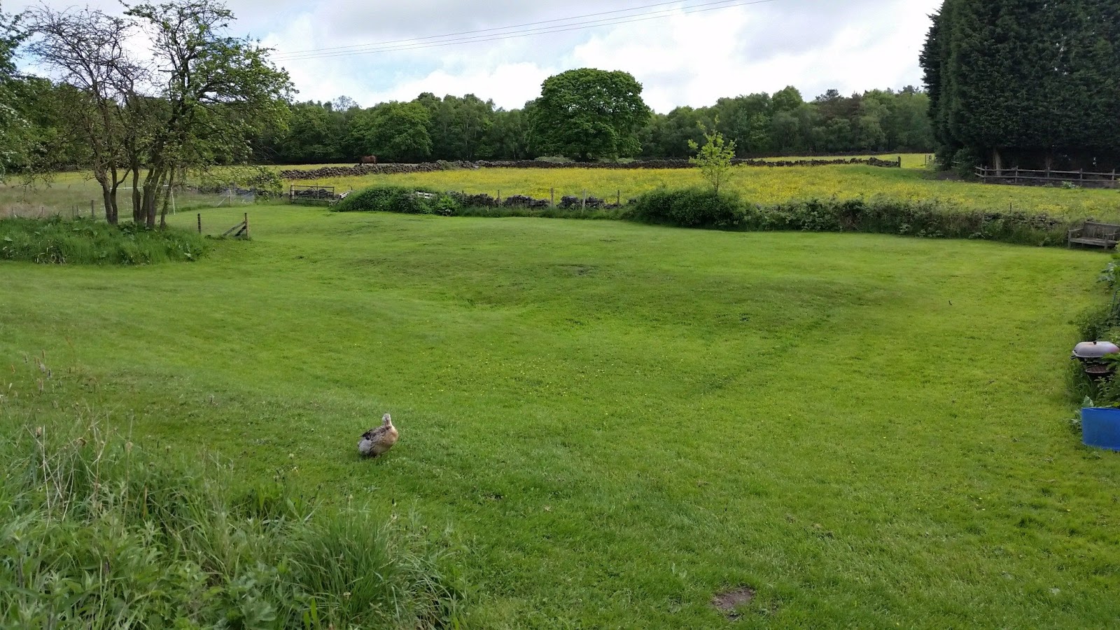 Holiday Let Penally Dog Friendly Holiday Let Penally Dog Friendly