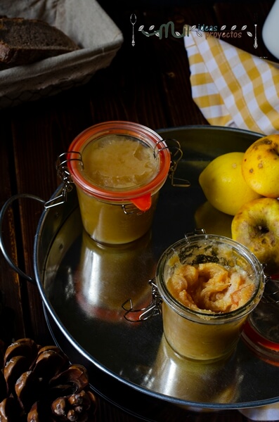 compota-manzana-limon-sin-azucar3