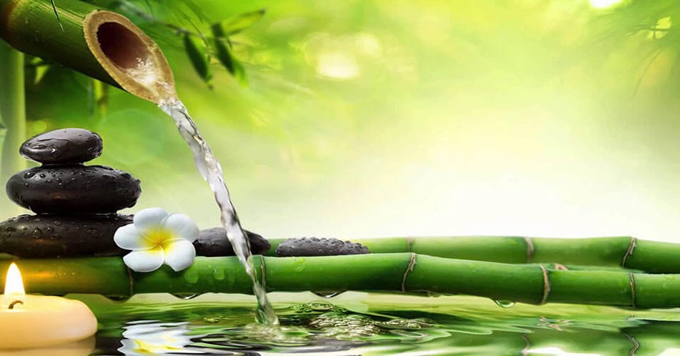 Amity Wellness Detox Thailand Detoxification process
