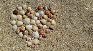 Unas conchas sobre la arena