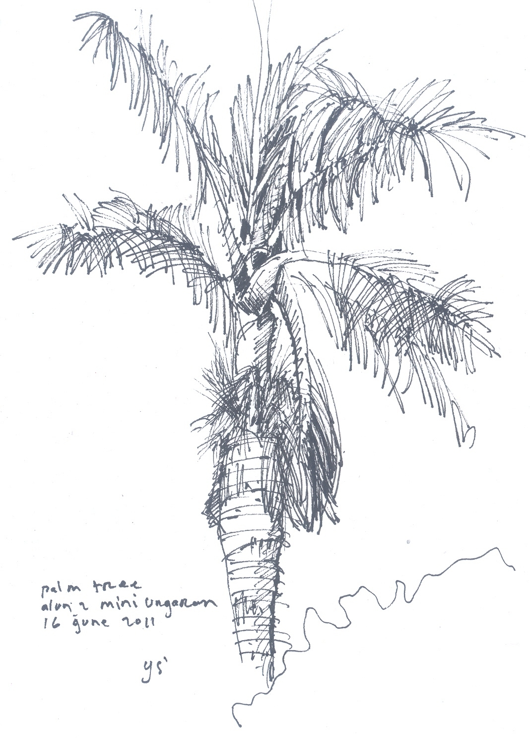 YUSA s SKETCH BOOK Palm Tree YUSA s SKETCH BOOK Palm Tree