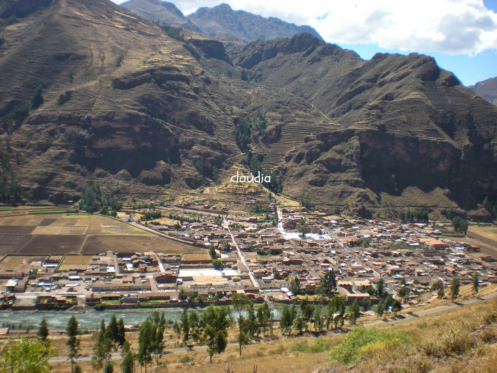 maiz-gigante-del-cusco