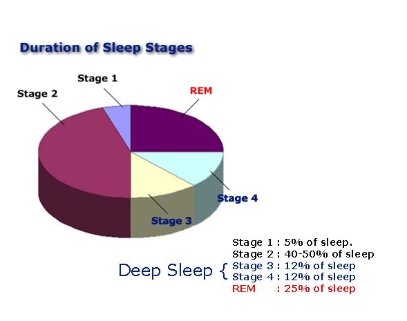 Teen Sleep Cycles May 6