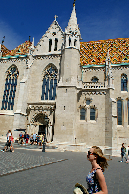 DSC01435.png
