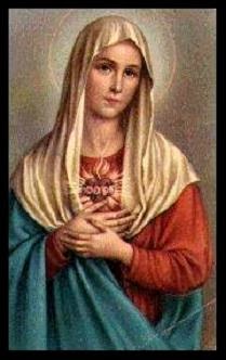 This website is under the patronage of the Immaculate Heart of Mary