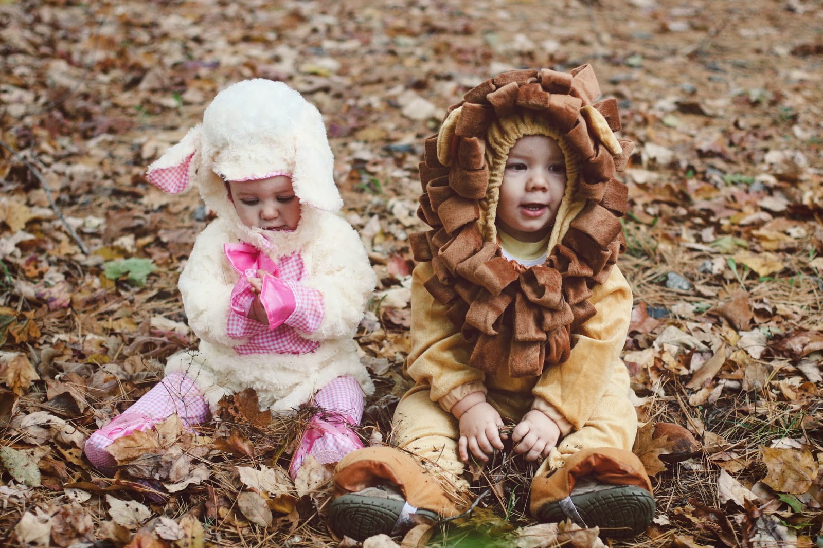 Jenni Lind Photography: The Lion and the Lamb
