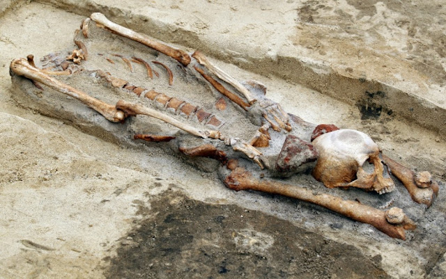 scheletro di Gliwice (Polonia)